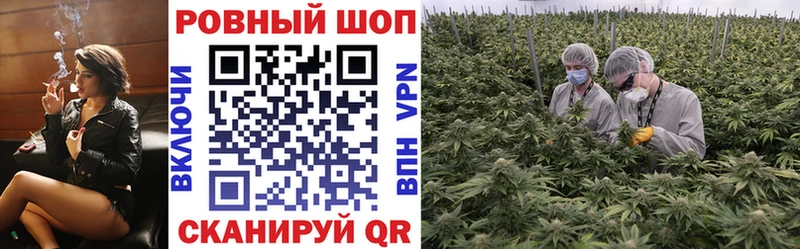 Что такое Пикалёво Псилоцибиновые грибы  АМФЕТАМИН  Канабис  Альфа ПВП  Кокаин 