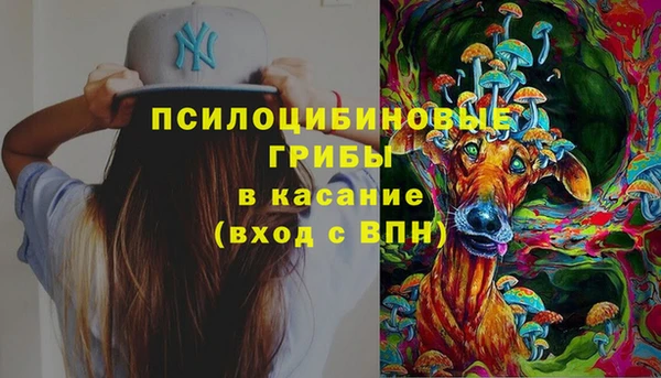 каннабис Новозыбков