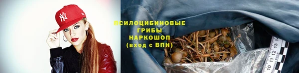 кристаллы Новодвинск