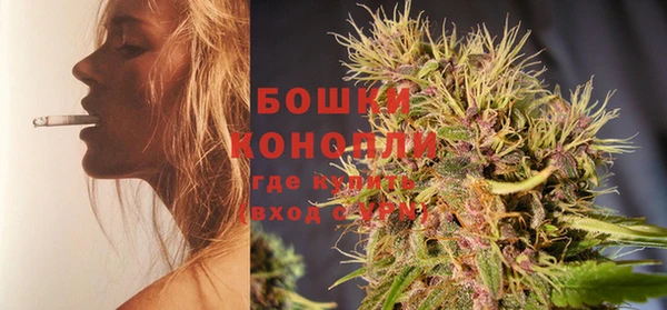 каннабис Новозыбков