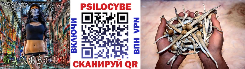 Псилоцибиновые грибы Psilocybine cubensis  мориарти как зайти  Пикалёво 